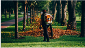 Garden Clean Up Services in Ryde: A Simple Way to Refresh Your Outdoor Space 