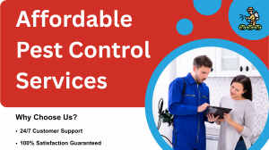 How Does Pest Control Help Protect Your Family and Property?
