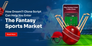 How Dream11 Clone Script Can Help You Enter the Fantasy Sports Market