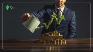 The Importance of an Investment Policy Statement (IPS) 