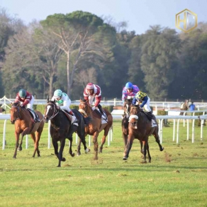 Strategies the Best Horse Handicappers Use in Tournaments