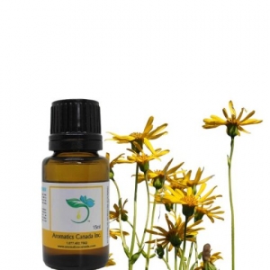 Discover the Benefits of Arnica Herbal Oil Today