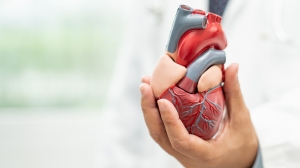 Top Cardiovascular Health Tips to Protect Your Heart as You Age