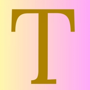 How Travis L Wright Solves Complex Problems with Simple Frameworks 