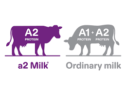 A2 Milk Market B2B vs B2C Analysis
