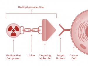 The Future of Medical Radioisotopes in the U.S.