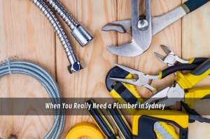 When You Really Need a Plumber in Sydney