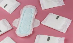 Sanitary Napkin Manufacturing Plant Setup and Cost Analysis Report