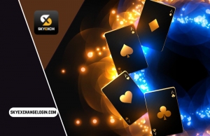 SkyExchange: Insights for Winning Strategies