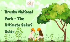 Arusha National Park - The Ultimate Safari Guide