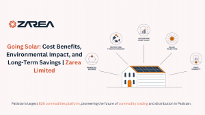Going Solar: Cost Benefits, Environmental Impact, and Long-Term Savings | Zarea Limited