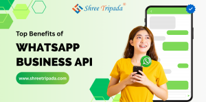 Top Benefits of Using WhatsApp Business API in 2025 for Modern Businesses