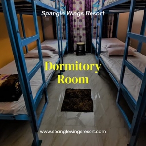 Budget-Friendly and Social: Exploring the Appeal of Dormitory Rooms