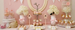 Baby Shower Themes For Boys And Girls