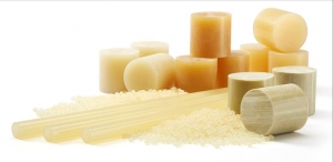 Hot Melt Adhesives Market Growth Trends and Strategic Analysis 2025-2032