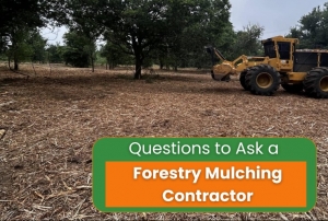 What Key Questions Should You Ask a Forestry Mulching Contractor Before Hiring?