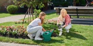 Summer Lawn Care Tips for a Healthy Lawn