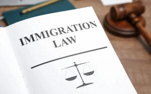 The Role of an Asylum Immigration Lawyer During Your Interview