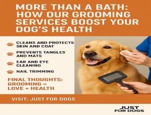 More Than a Bath: How Our Grooming Services Boost Your Dog's Health.
