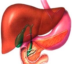 Acute On Chronic Liver Failure (ACLF) Market Size, Trends, and Growth Analysis 2025-2032