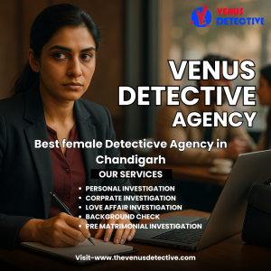 Top Private Detective Agency in Chandigarh – Discreet, Fast & Reliable