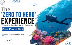 The 'Zero to Hero' Experience — What It's Really Like to Become a Dive Pro in Bali