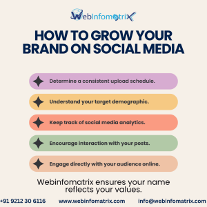 How Chelmsford Local SEO Helps Dentists Dominate Search
