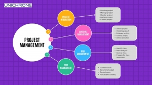 Steps for Acquiring PMP Certification Using Project Life Cycle