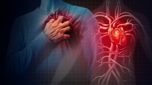 Cardiac Amyloidosis Market Size, Trends, and Growth Forecast 2025-2032