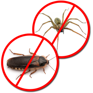 Need an Exterminator San Antonio? We're Here to Help!