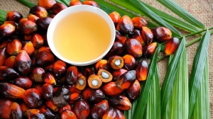 Global Palm Oil Market Size, Growth, and Strategic Outlook 2025-2032