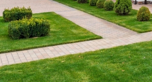 Hammond Indiana Yards: Top Landscaping Tips