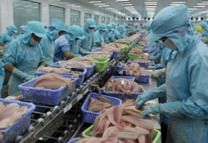 Global Fish Processing Market: Size, Trends, and Growth Strategies