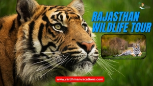 Rajasthan Wildlife Tour: A Simple Guide to Nature and Safaris