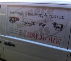 Transform Your Branding with Ooga Booga’s Creative Solutions
