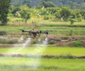 Why Thermal Drone Surveys Are Critical for Wildlife Monitoring