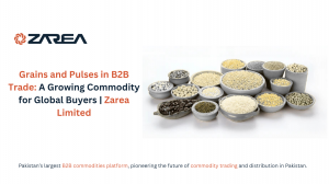 Grains and Pulses in B2B Trade: A Growing Commodity for Global Buyers | Zarea Limited