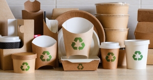 Sustainable Packaging Market Insights: Bioplastics, Circular Economy, and Regional Dynamics