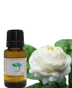 Jasmine Sambac Absolute Oil: A Rare Floral Essential Oil