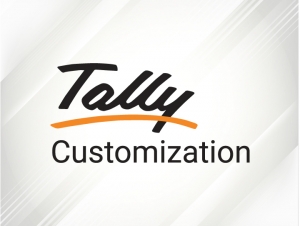 How Tally Customization Partners Can Help With Automating Financial Processes