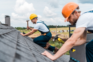 How to Maintain Your Roof with Professional Services