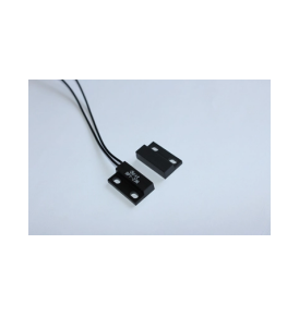 Reed Sensor 2025