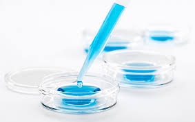 In Vitro Diagnostics Test Kit Market Growth Drivers