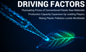 Bio-Based Polypropylene Market Emerging Applications & Global Share 2025-2032