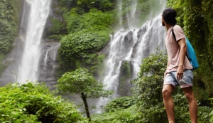 Exploring the Biodiversity of the Tambopata Rainforest