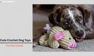 Cute Crochet Dog Toys: The Perfect Playmate for Your Pup by The Pet Closet