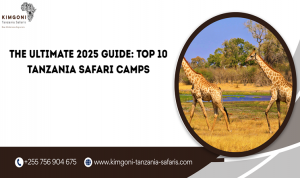 The Ultimate 2025 Guide: Top 10 Tanzania Safari Camps