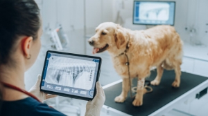 Veterinary Diagnostics Market Analysis: Key Players, Trends, and Future Opportunities