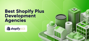 Grow Faster Using a Shopify Plus Development Agency