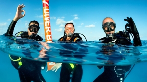 Your Step-by-Step Guide to PADI Diving in Koh Tao: What to Expect from Your First Course